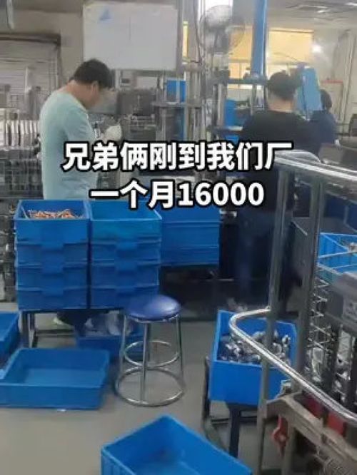 手足同心筑夢廠區，兄弟合力點亮人生